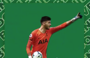 Gazzaniga