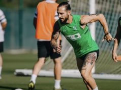 Miguel Cifuentes Elche