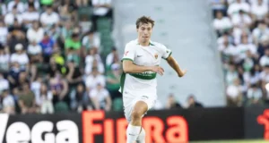 Affengruber Elche fantasy
