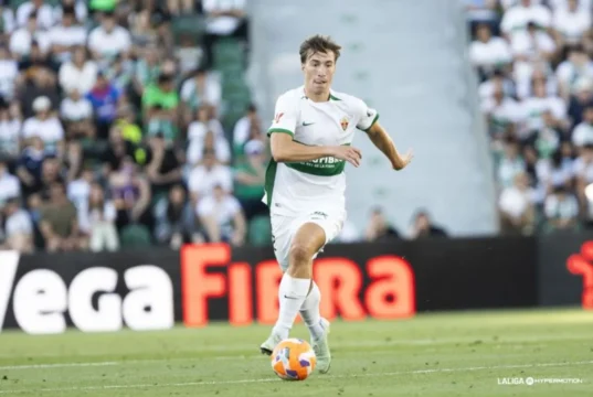 Affengruber Elche fantasy