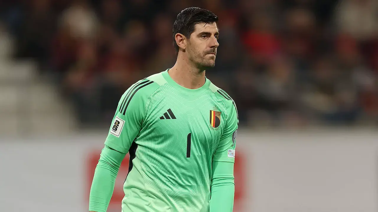 Courtois Bélgica fantasy