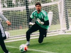 Courtois Bélgica Fantasy