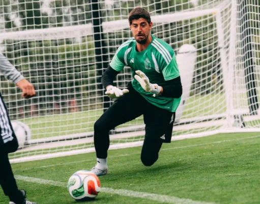 Courtois Bélgica Fantasy