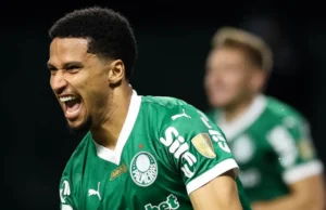 Murilo Palmeiras